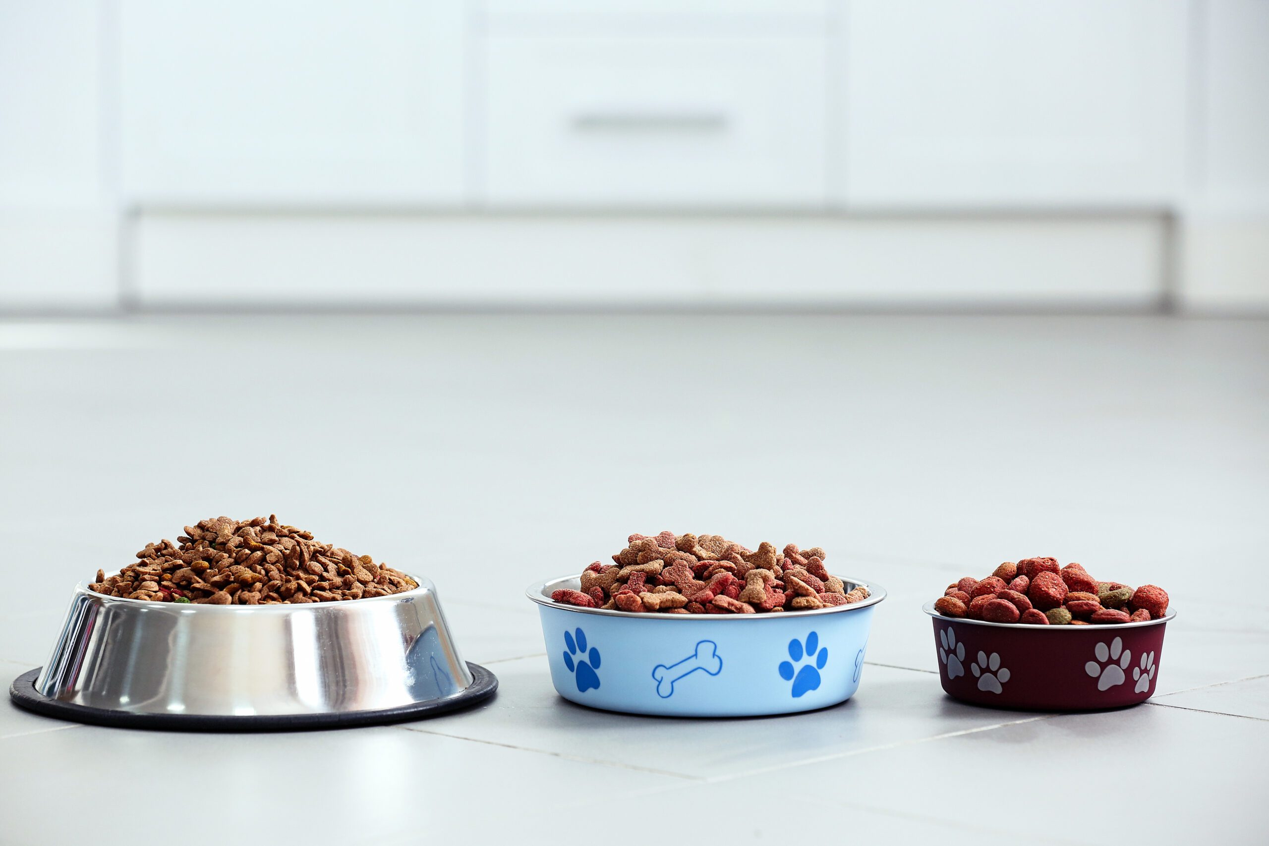 Three homemade dog food bowls with fresh ingredients.