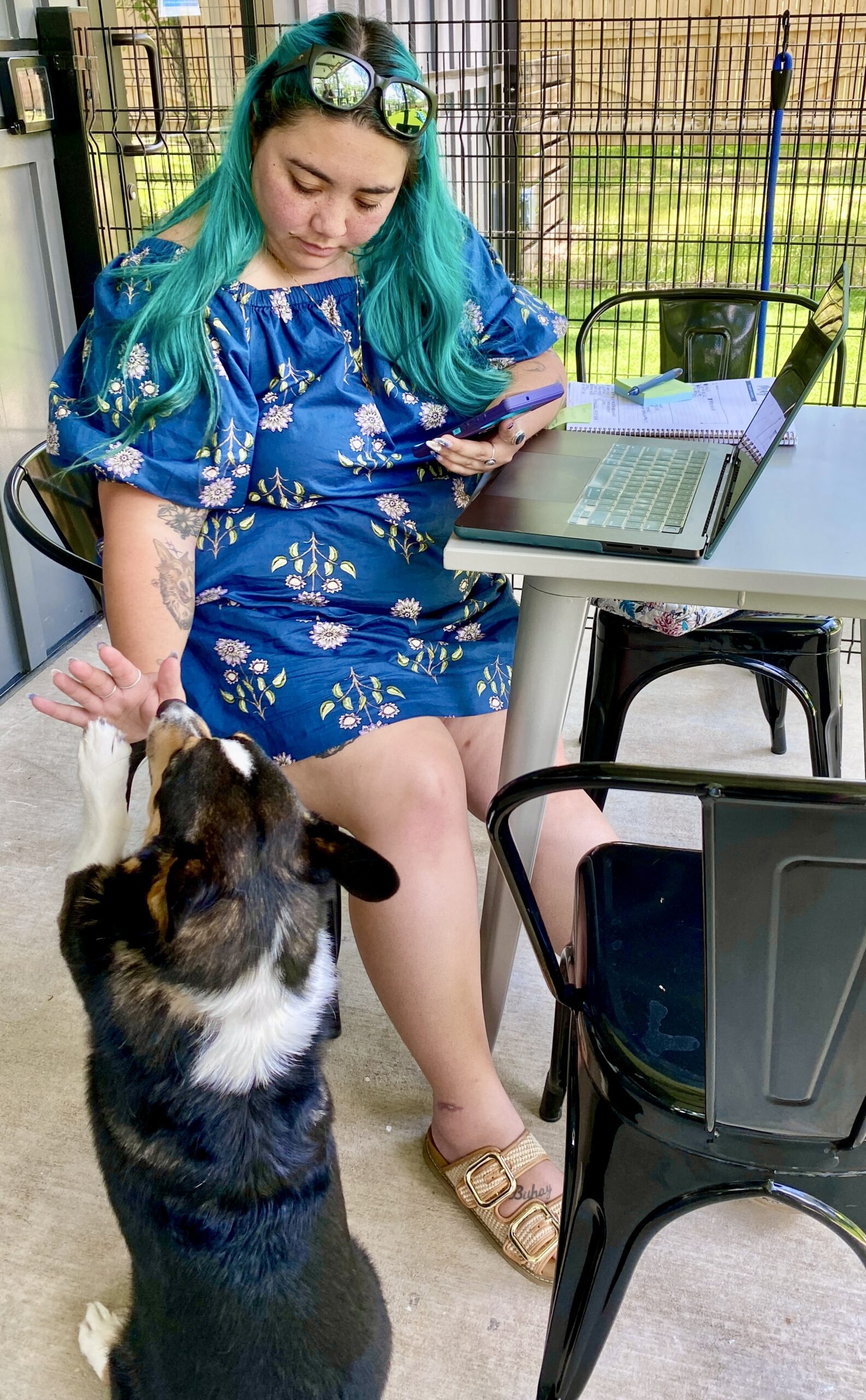 Guest high-fiving her dog at Broken Leash Dog Park and Bar in Charleston, SC