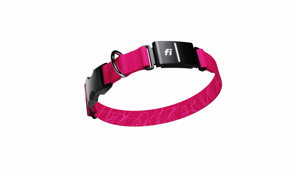 Fi Series 3 GPS dog collar in pink on turf at Broken Leash