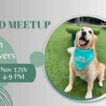 Golden Retrievers playing at The Broken Leash Breed Meetup in North Charleston on Nov 17