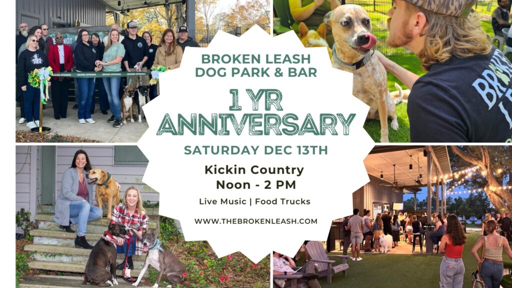 Guests celebrating at The Broken Leash with live music, giveaways, and food trucks during the anniversary party.