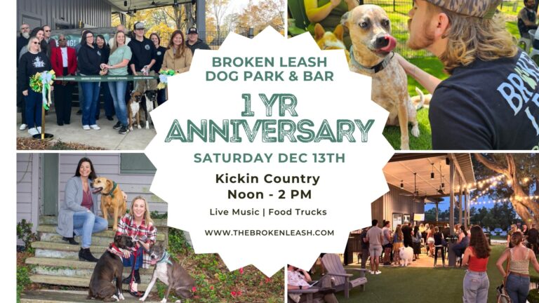 Guests celebrating at The Broken Leash with live music, giveaways, and food trucks during the anniversary party.