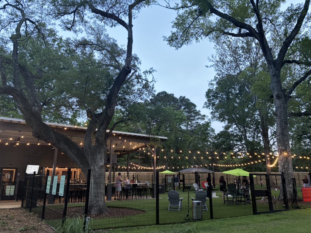 A wide view of Broken Leash Dog Park and Bar in North Charleston, SC, showing the turf play areas and seating under string lights.
