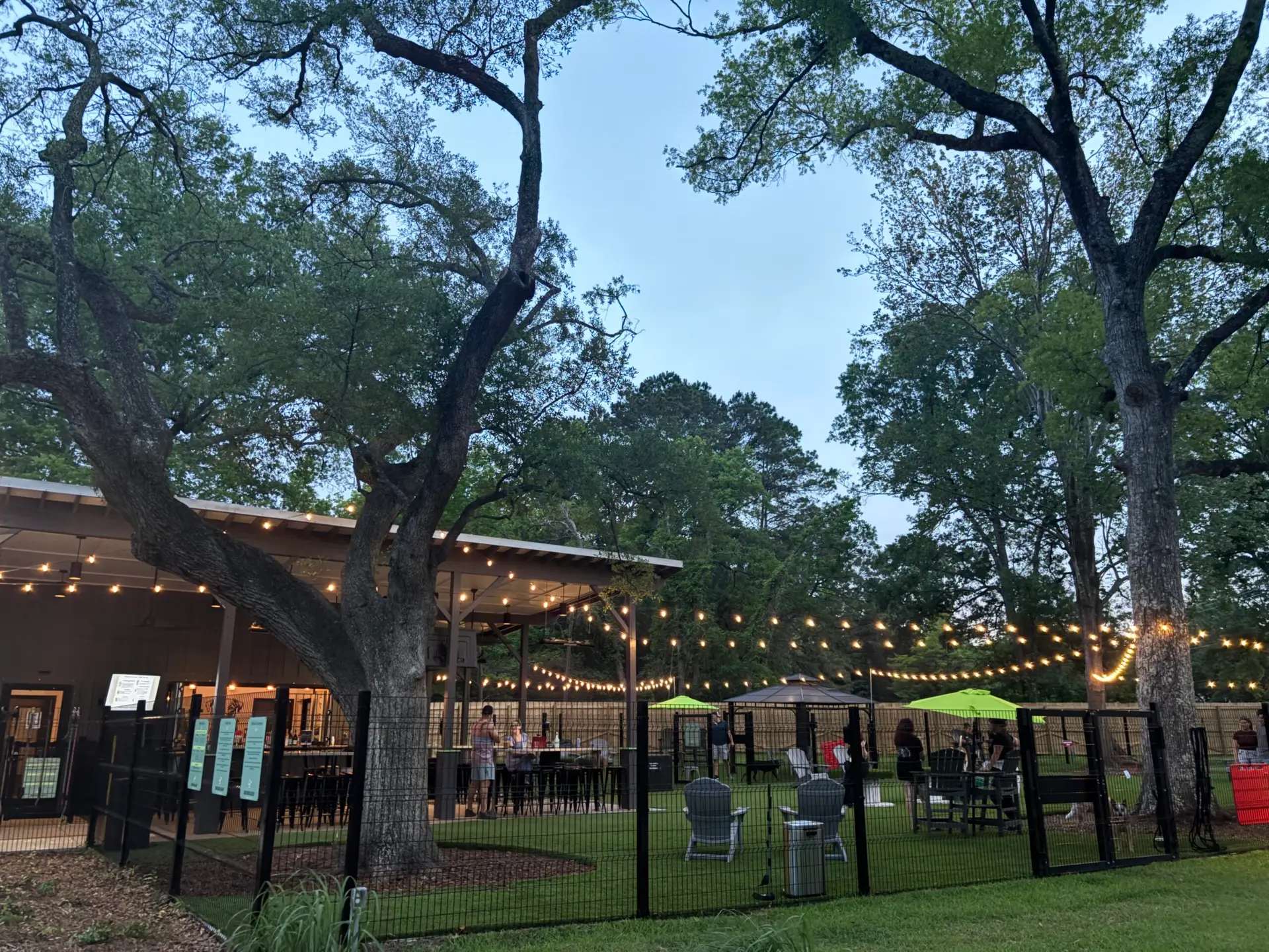 A wide view of Broken Leash Dog Park and Bar in North Charleston, SC, showing the turf play areas and seating under string lights.