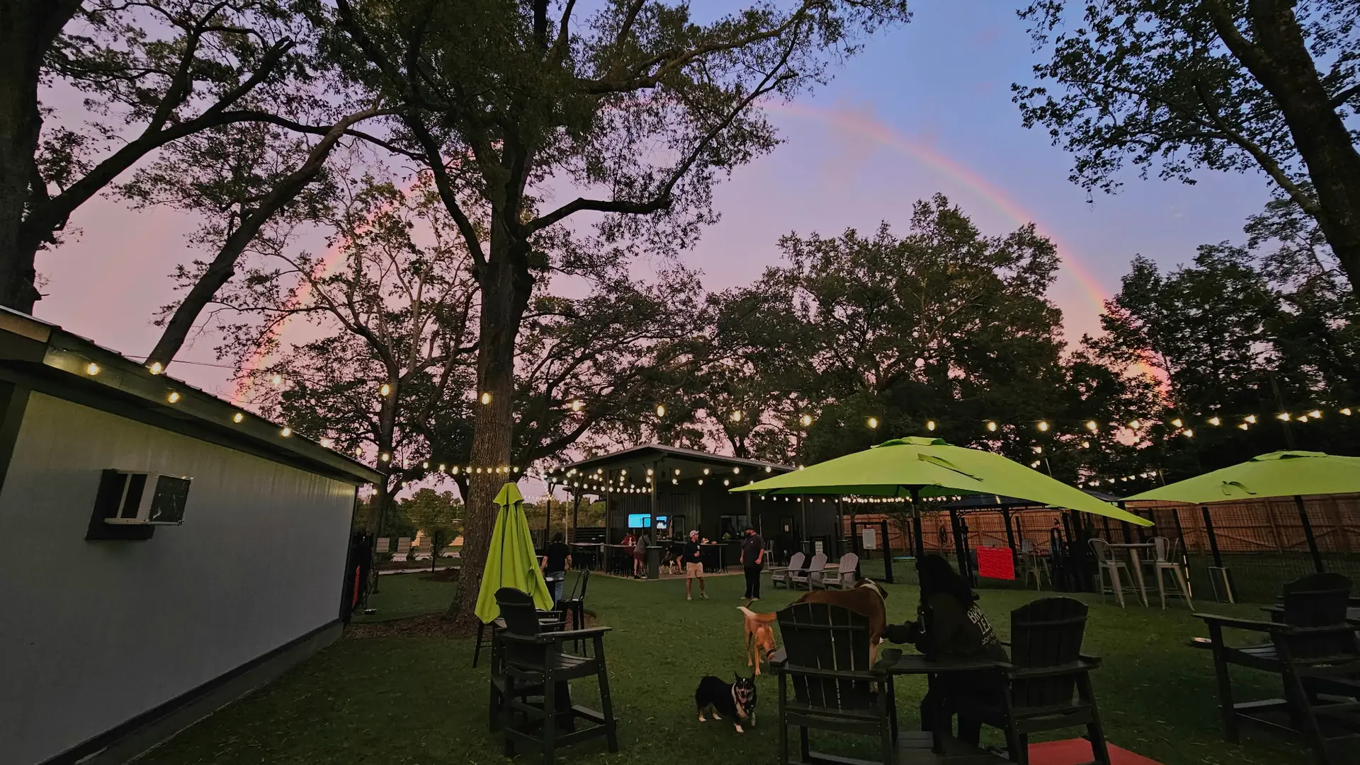 Rainbow over off-leash dog park at Broken Leash in North Charleston
