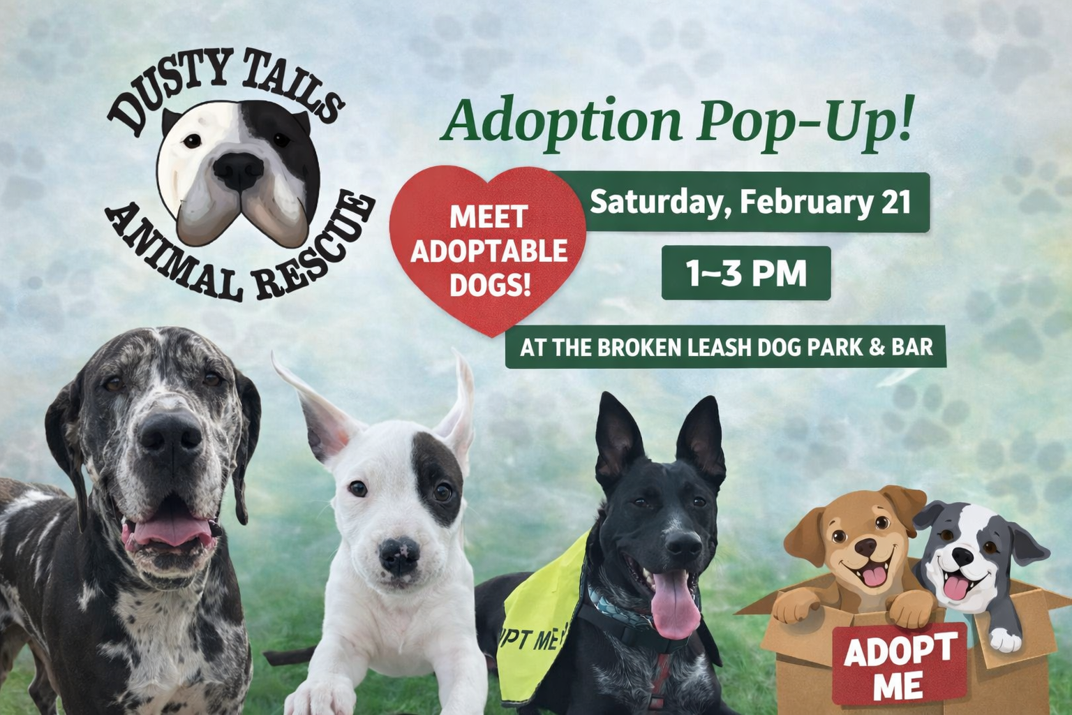 Adoptable dogs at a Dusty Tails Animal Rescue adoption pop-up at The Broken Leash.