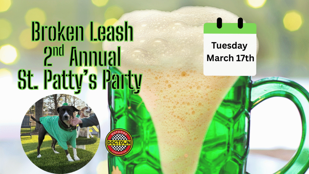 St. Patrick’s Day party at The Broken Leash with green beer and dogs in festive outfits.