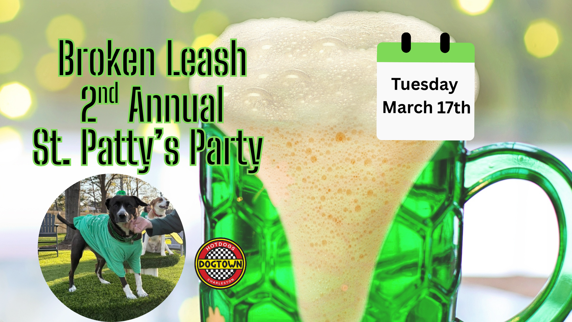 St. Patrick’s Day party at The Broken Leash with green beer and dogs in festive outfits.