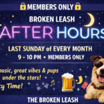 Dogs play at night during Broken Leash After Hours members-only event.