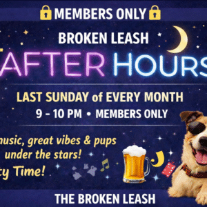 Dogs play at night during Broken Leash After Hours members-only event.
