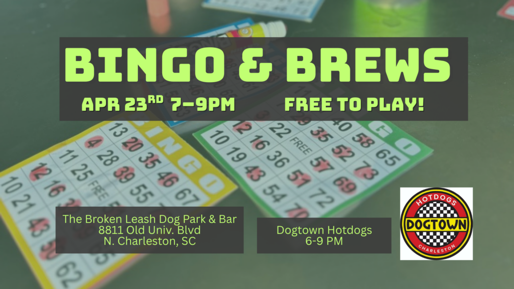 Guests playing bingo night at The Broken Leash dog-friendly bar.