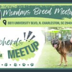 Breed Meetup - Shepherds 4-9 PM at Broken Leash Dog Park & Bar