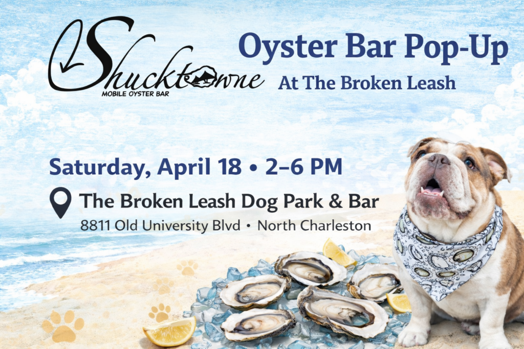 Shucktowne mobile oyster bar serving fresh oysters at The Broken Leash.