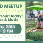 Mixed breed dogs playing together during a meetup at The Broken Leash dog park.