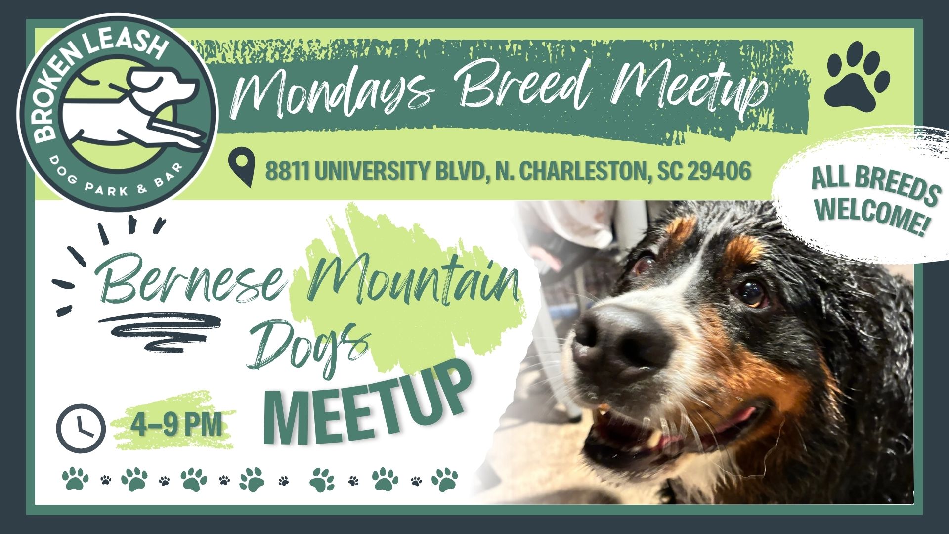 Breed Meetup Bernese Mountain dogs 4-9 PM at Broken Leash Dog Park & Bar