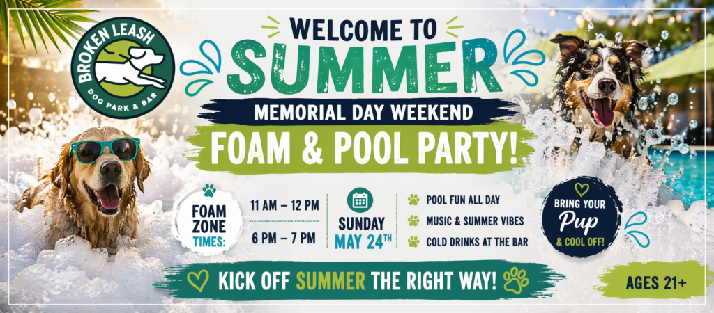 Dogs playing in foam and pool areas during a summer foam party at The Broken Leash.