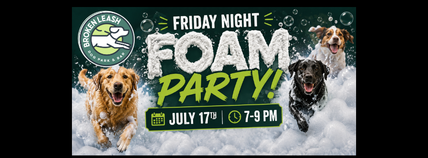 Dogs playing in foam during a Friday Night Foam Party at The Broken Leash.