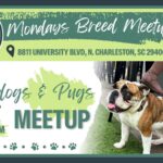 Breed Meetup - Bulldogs & Pugs