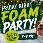 Dogs playing in foam during a Friday Night Foam Party at The Broken Leash Dog Park & Bar.
