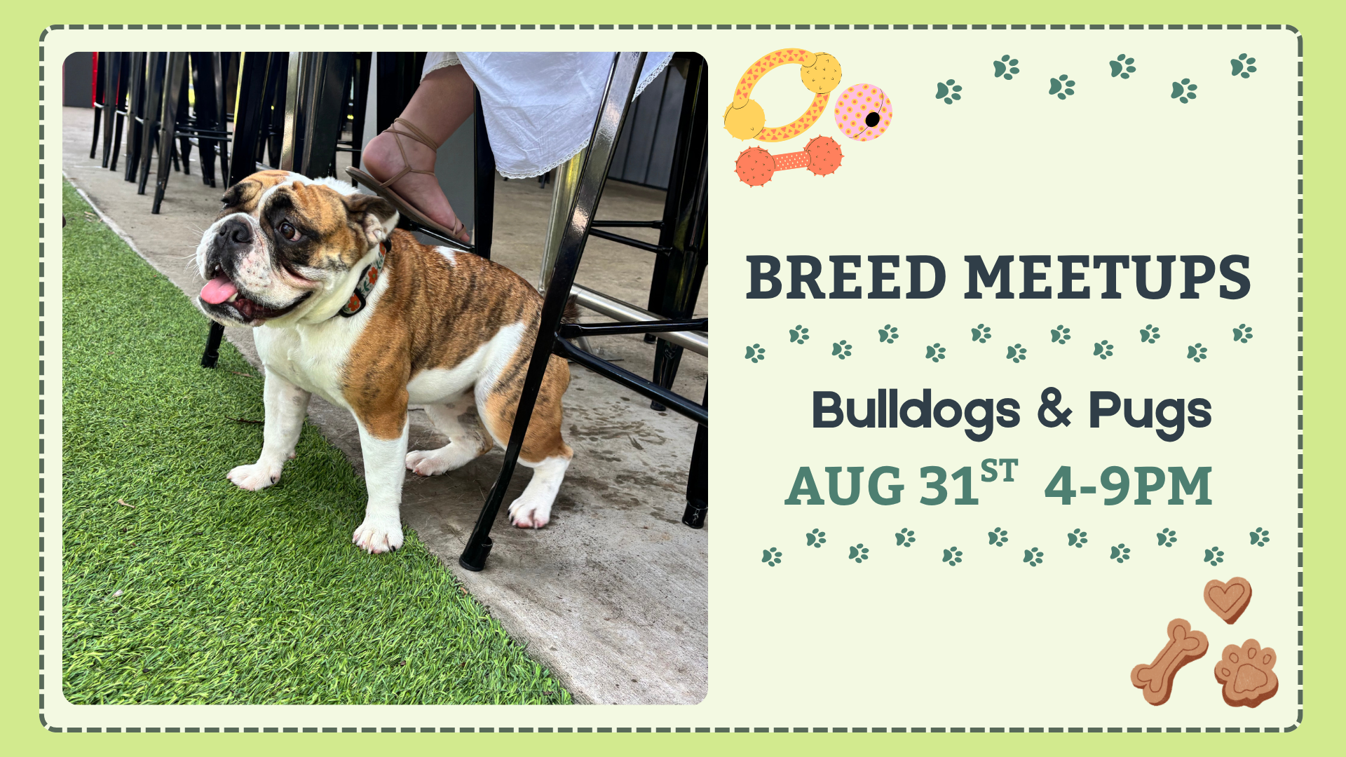 Bulldogs & Pugs Breed Meetup