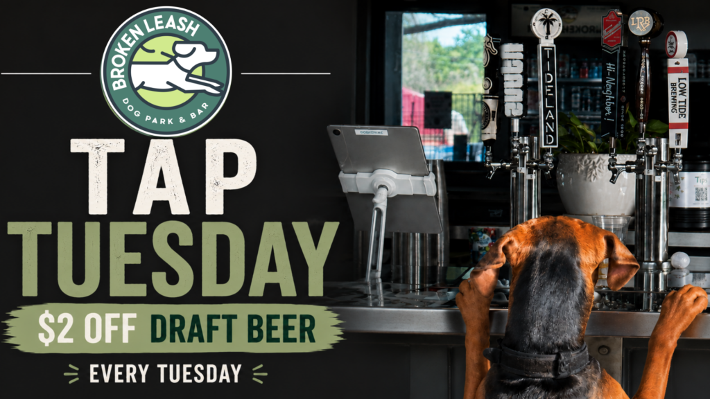 Guests enjoying draft beer during Tap Tuesdays at The Broken Leash Dog Park & Bar.