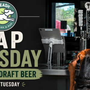 Guests enjoying draft beer during Tap Tuesdays at The Broken Leash Dog Park & Bar.