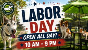 Dogs and guests enjoying Labor Day at The Broken Leash Dog Park & Bar.