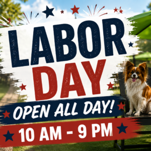 Dogs and guests enjoying Labor Day at The Broken Leash Dog Park & Bar.