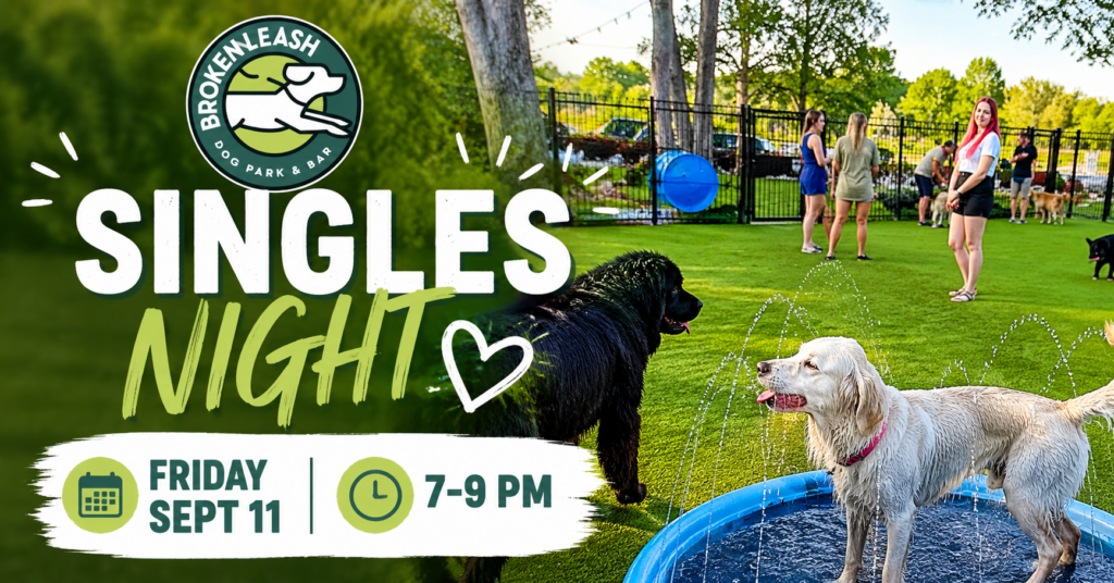 Singles enjoying drinks and conversation during Singles Night at The Broken Leash Dog Park & Bar.