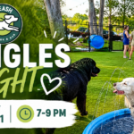 Singles enjoying drinks and conversation during Singles Night at The Broken Leash Dog Park & Bar.