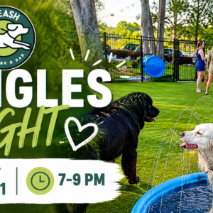 Singles enjoying drinks and conversation during Singles Night at The Broken Leash Dog Park & Bar.