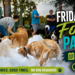 Dogs running and playing through foam during a Friday Night Foam Party at The Broken Leash Dog Park & Bar.