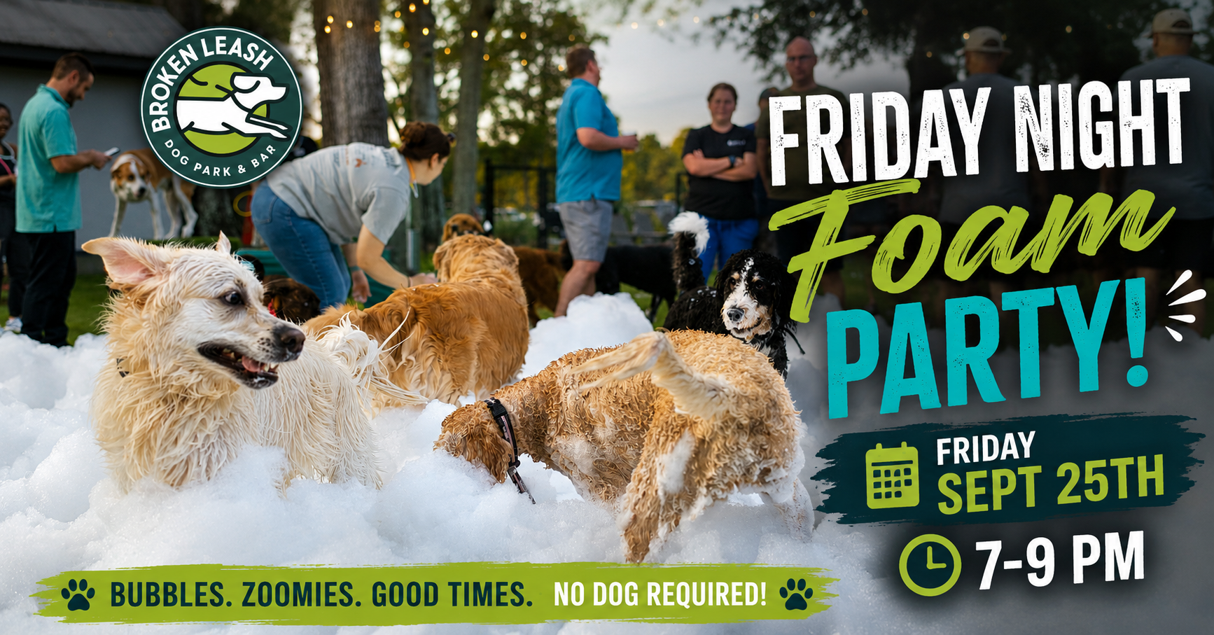 Dogs running and playing through foam during a Friday Night Foam Party at The Broken Leash Dog Park & Bar.