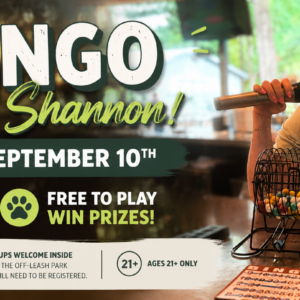 Guests playing Bingo with Shannon at The Broken Leash Dog Park & Bar.