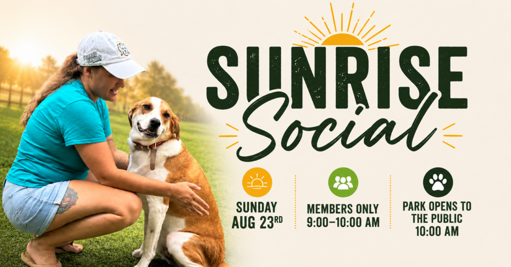 Sunrise Social Member Perk
