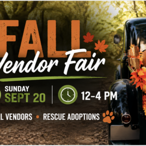 Guests shopping with their dogs during the Pups & Pints Fall Vendor Fair at The Broken Leash.