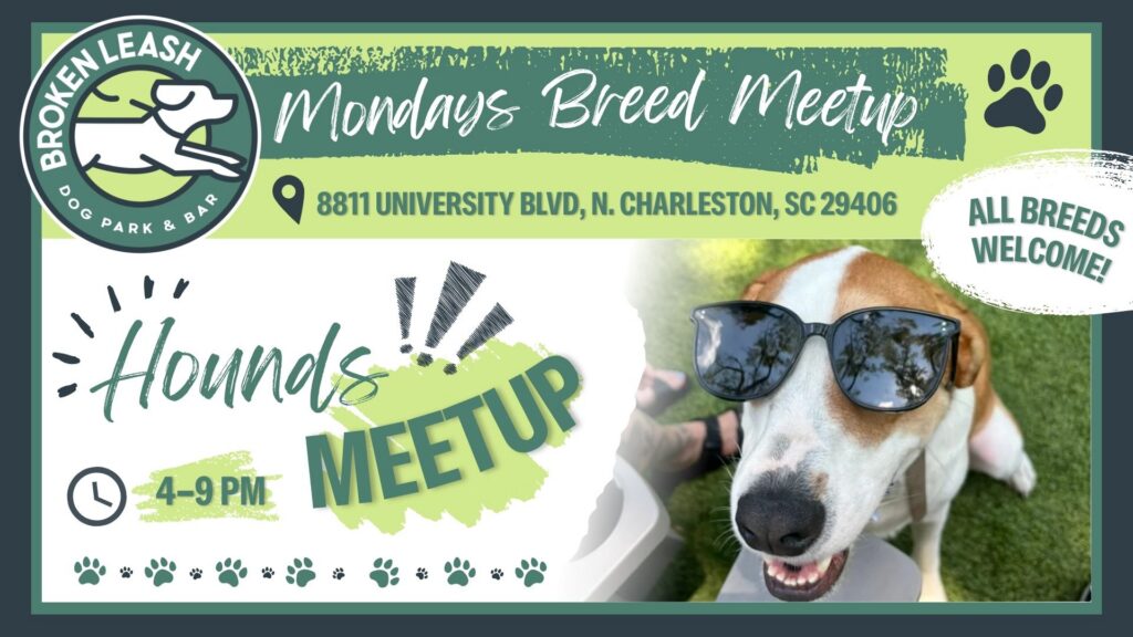 Breed Meetup - Hounds