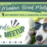 Breed Meetup - Hounds