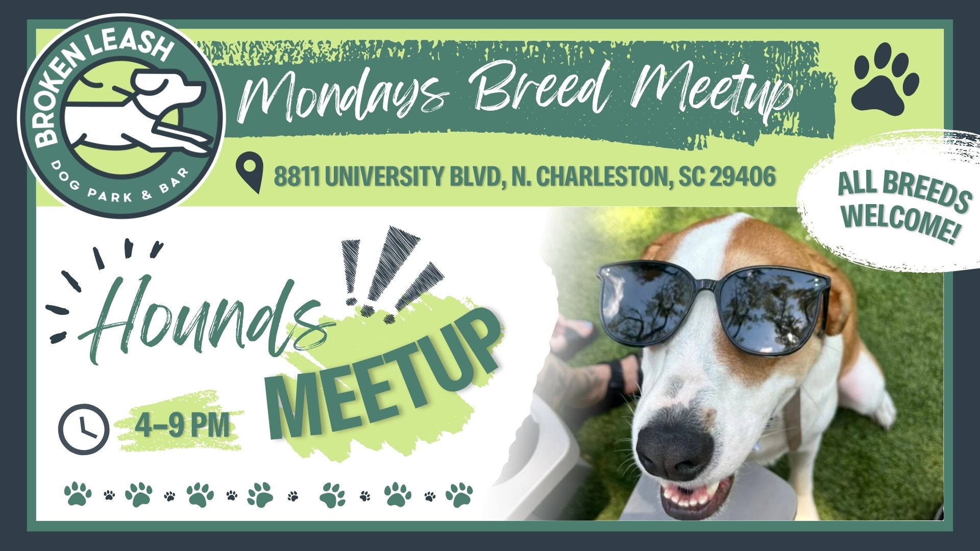 Breed Meetup - Hounds