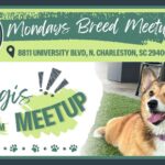 Breed Meetup - Corgis 4-9 PM