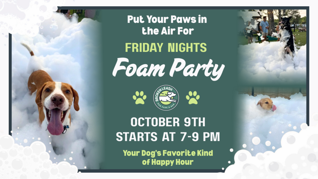 Dogs running and playing in foam during a Friday Night Foam Party at The Broken Leash Dog Park & Bar.