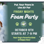 Dogs running and playing in foam during a Friday Night Foam Party at The Broken Leash Dog Park & Bar.
