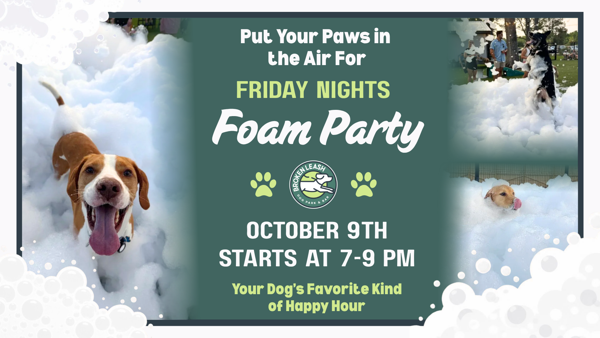 Dogs running and playing in foam during a Friday Night Foam Party at The Broken Leash Dog Park & Bar.