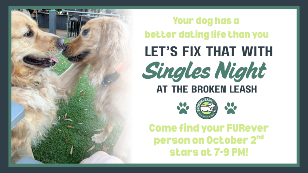 Singles meeting and socializing with dogs and drinks at The Broken Leash Dog Park & Bar in North Charleston.